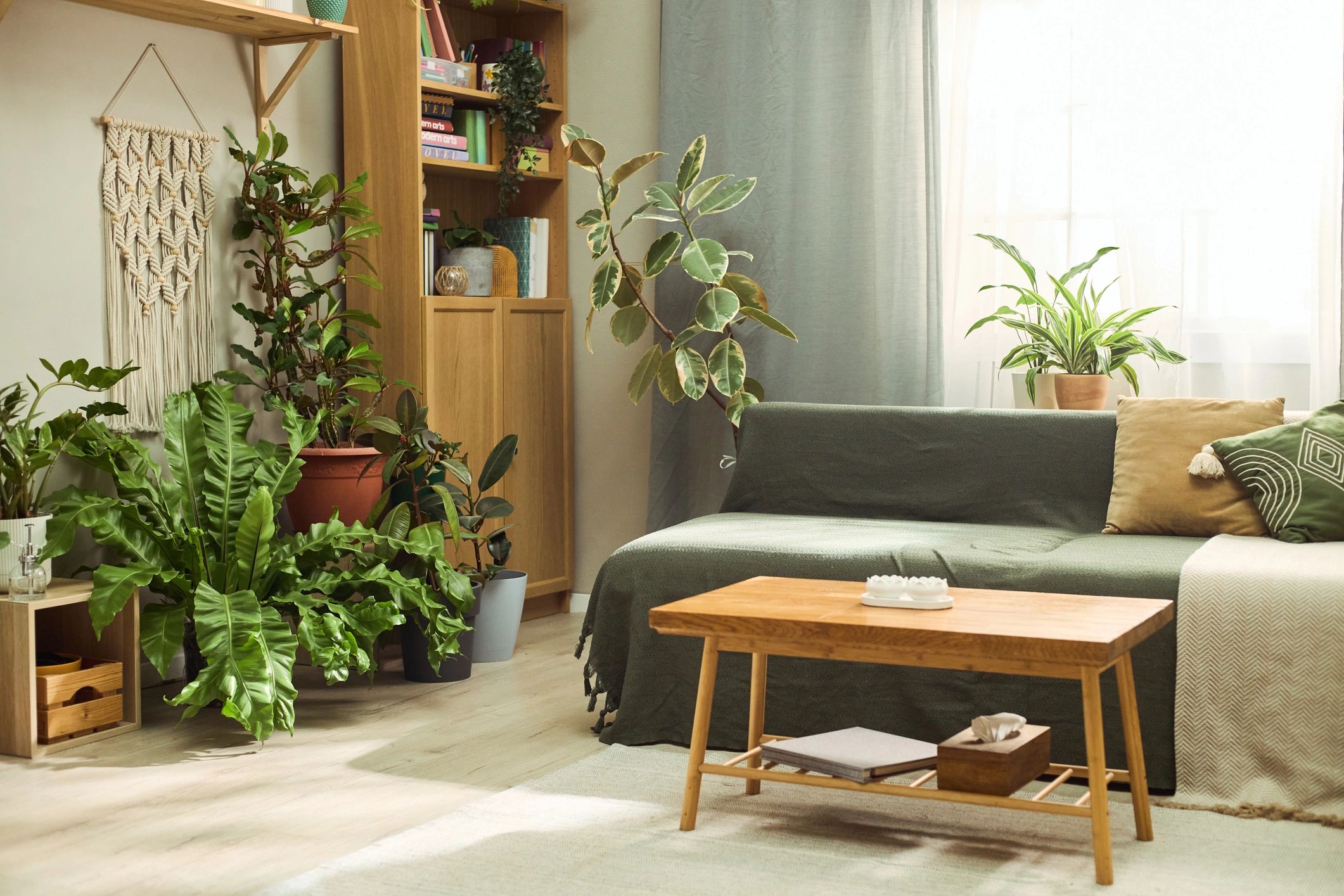 Plant-filled living room with comfortable everyday styling